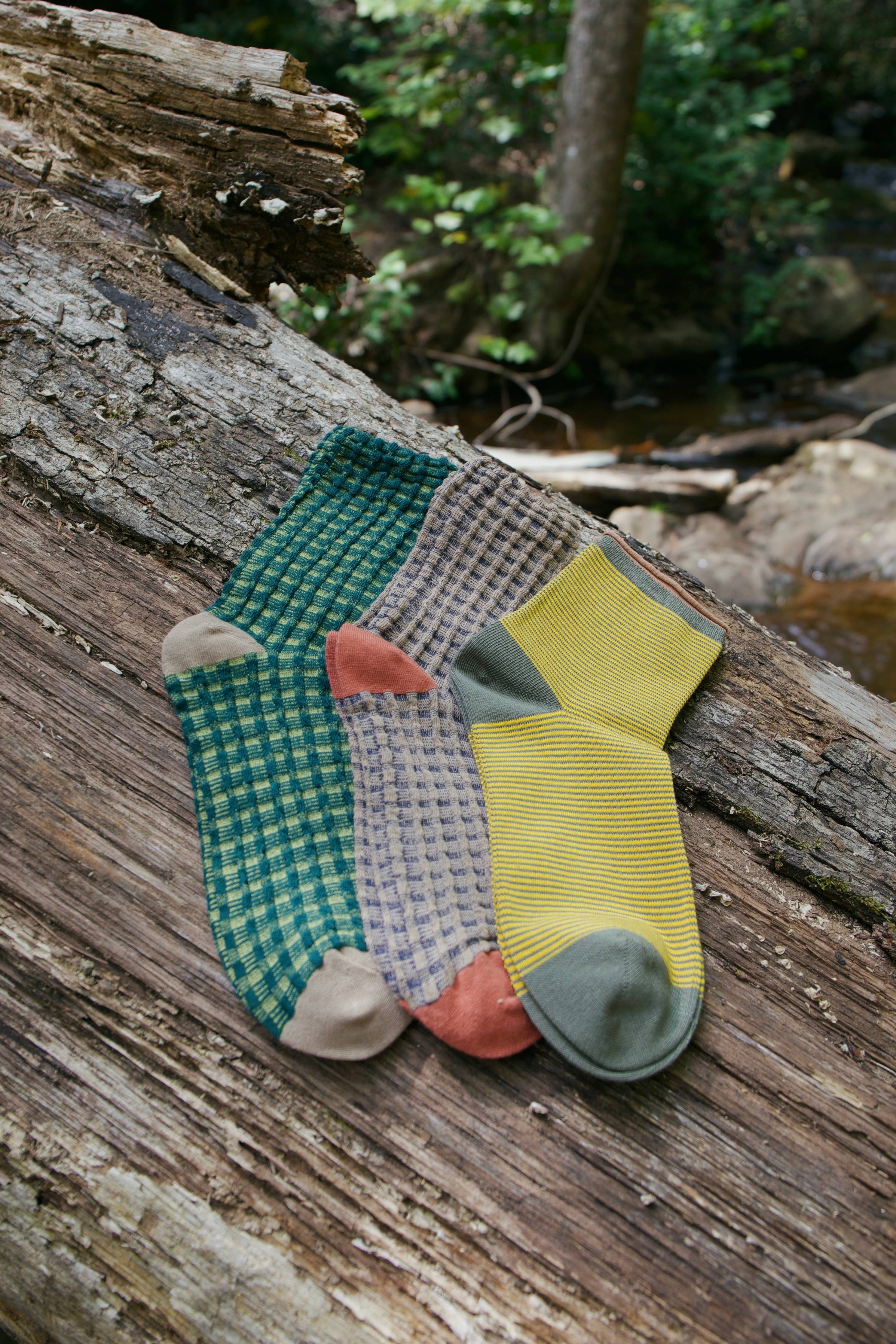 GARDEN SOCK PACK