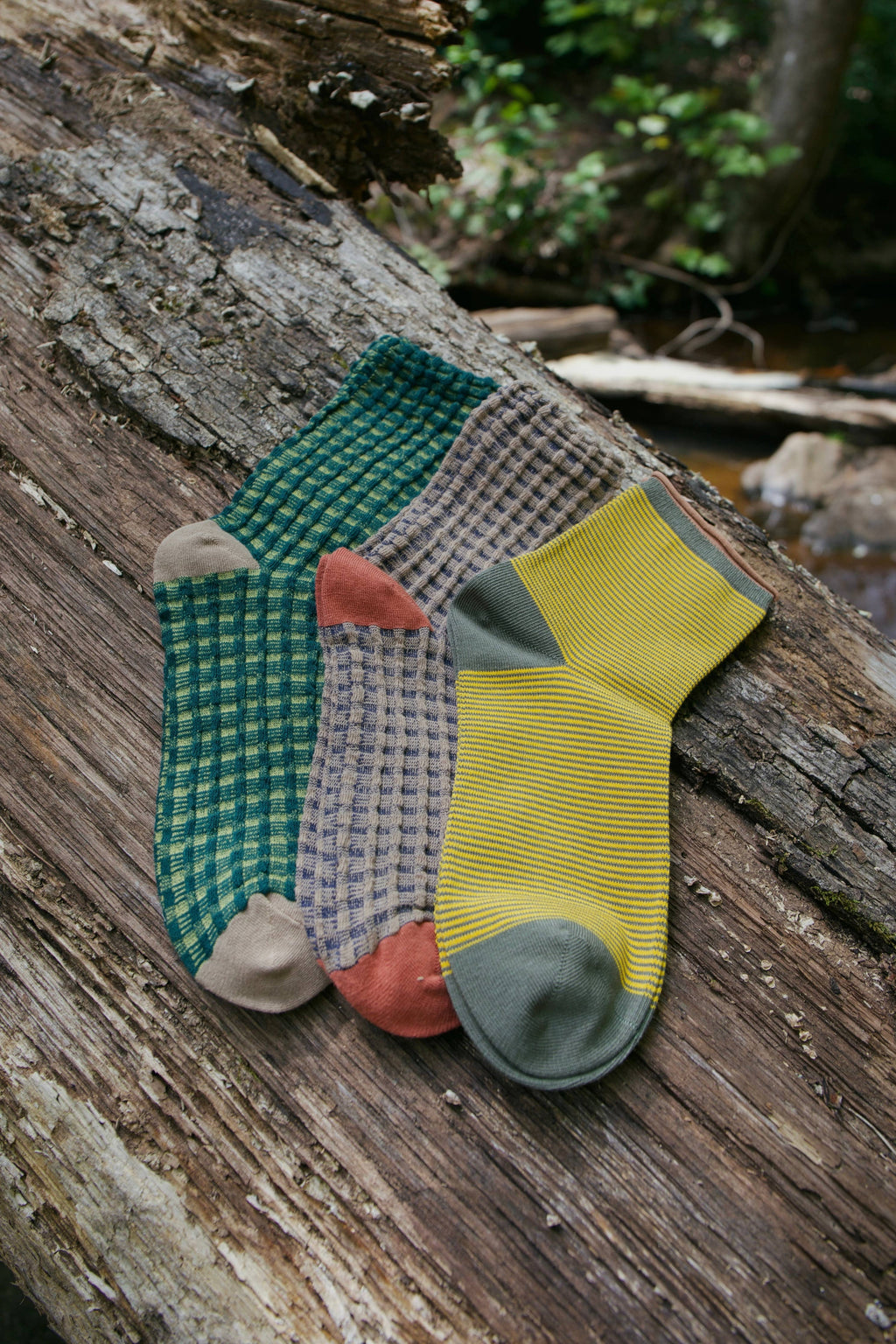 GARDEN SOCK PACK