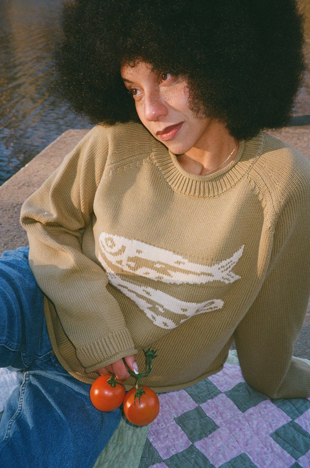 GREEN COTTON FISH SWEATER